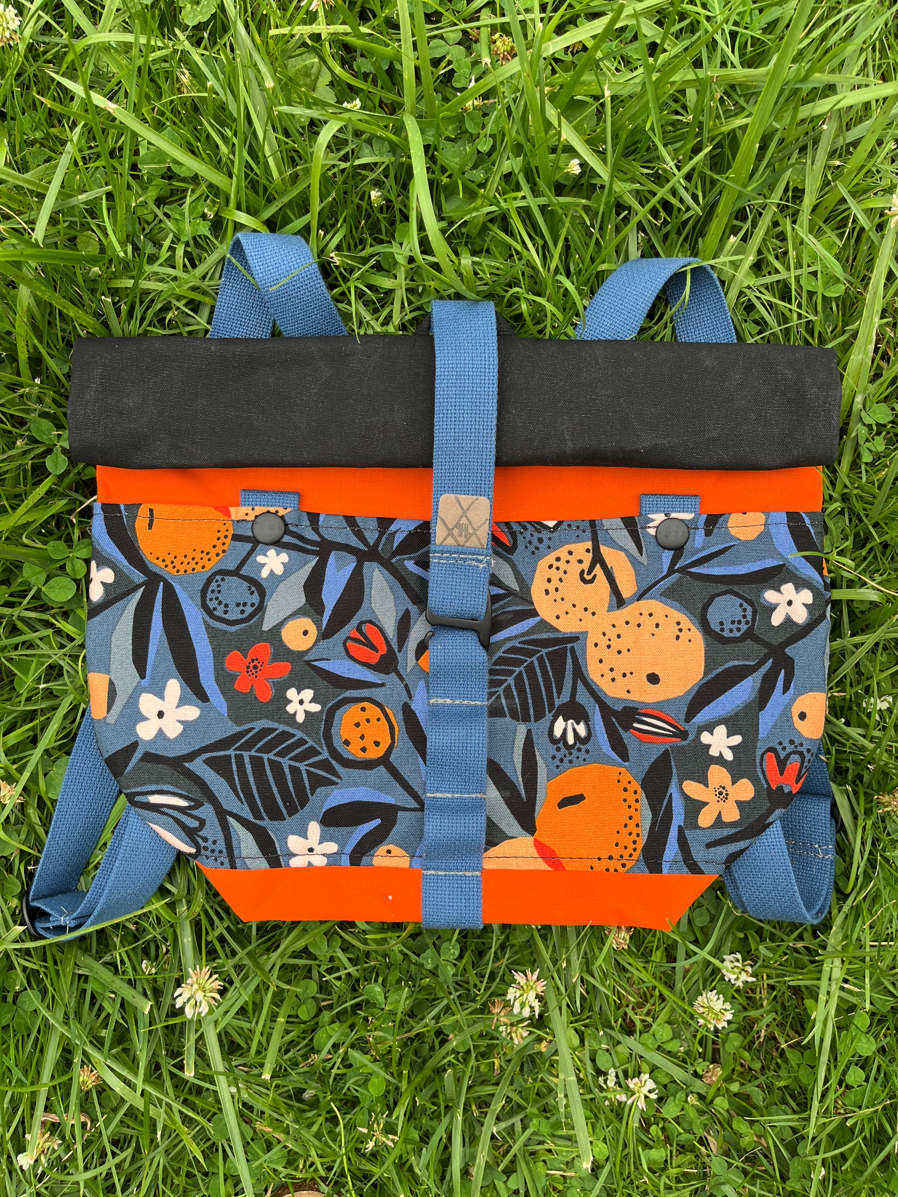 The Packpack (Clementine)