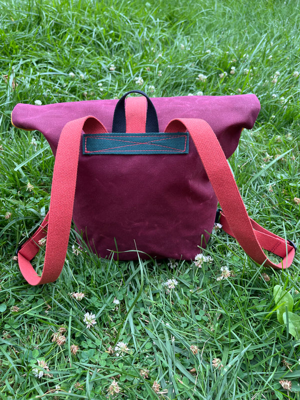 The Packpack (Garden)